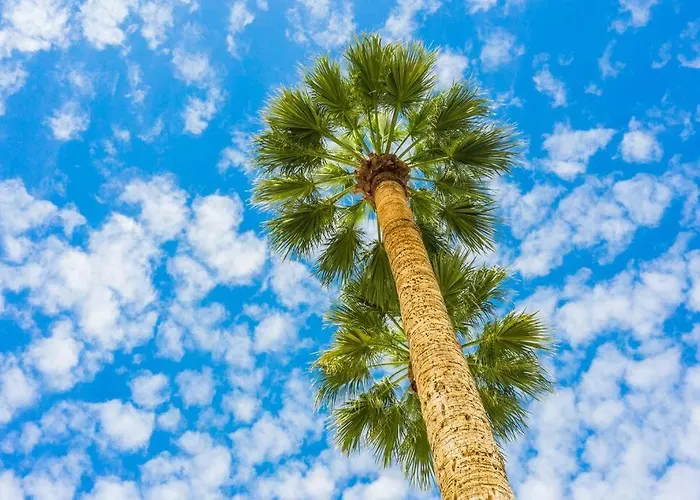 Apartment Micro With Balcony & Pool View - Walk To Ot Scottsdale